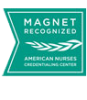 Magnet Recognition logo