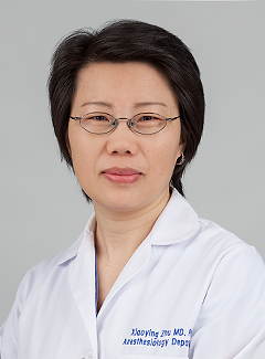Xiaoying Zhu