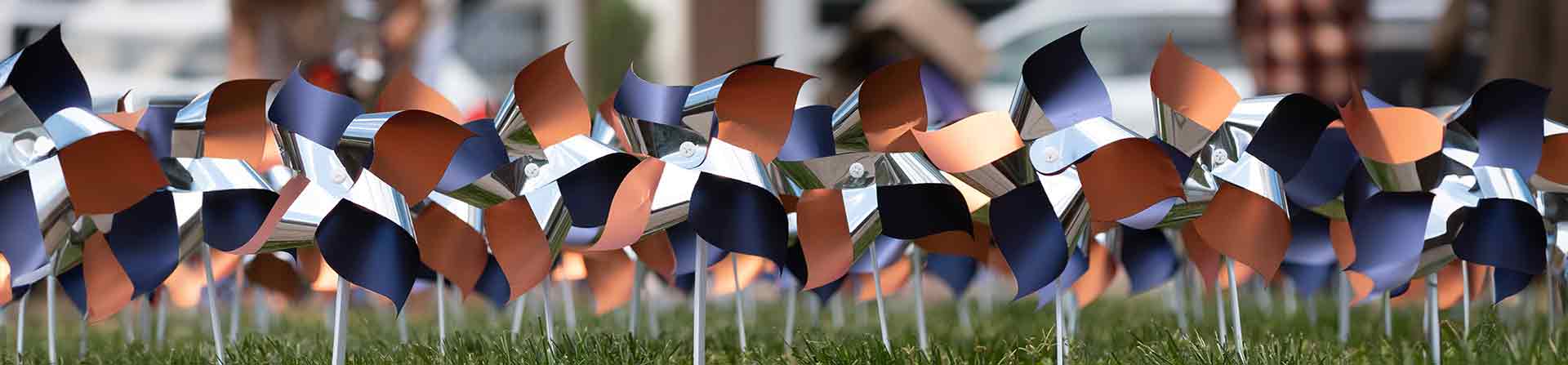 Orange and blue pinwheels from the UVA Health Donate Life pinwheel garden.