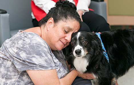 This therapy dog comforts patients in the hospital as part of an official program at UVA Health.